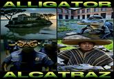A selection of AI-generated memes about Alligator Alcatraz. The memes are by Jere_Memez.