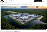 A Twitter post reading, "Alligator Alcatraz is what dreams are made out of." The post is by @catturd2.