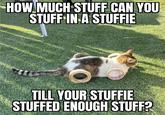 HOW MUCH STUFF CAN YOU STUFF IN A STUFFIE 6 TILL YOUR STUFFIE STUFFED ENOUGH STUFF?