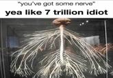 "you've got some nerve" yea like 7 trillion idiot