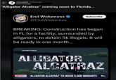 </facepalm 6 days ago N4TETHAGR8 "Alligator Alcatraz" coming soon to Florida... FORMER THINGS End Wokeness @EndWokeness Subscribe BREAKING: Construction has begun in FL for a facility, surrounded by alligators, to detain 5k illegals. It will be ready in one month... @AGJAMESUTHMEIER ALLIGATOR ALCATRAZ Everglades, FL REPORTS ALLIGATOR ALCATRAZ' TO HOUSE 5,000 MIGRANTS