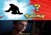 ? POKEMON why not?