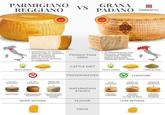 PARMIGIANO REGGIANO DORIGINE AND PRESIANO ONVIDOSY-PARNEL IGIAND SE THE ARMIGIANO -REGGIANO VS GRANA PADANO tasteatlas RANA DORIGINE PAVA AND GRANA PADANG GRANA PEN GRANA AV PADANG AVA VAN! BRANA FADANG GRANA PADANG GRANA PADANC ANA ERANA VAVAVAVA BRANA DAN GRANA DAN BRANA PARING GEANA BRANA VAVI PROVINCES OF PARMA, REGGIO EMILIA, MODENA AND BOLOGNA IN EMILIA-ROMAGNA • PROVINCE OF MANTUA IN LOMBARDY PRODUCTION AREA ⚫ 32 PROVINCES IN FIVE REGIONS: PIEDMONT, LOMBARDY, VENETO, EMILIA ROMAGNA, TRENTINO ALTO ADIGE FRESH GRASS HAY 12-15 MONTHS 12-24 MONTHS OVER 36 MONTHS CATTLE DIET PRESERVATIVES BEANA FALDANG BRAN FRESH GRASS HAY CORN SILAGE LYSOZYME 9-16 MONTHS OVER 16 MONTHS OVER 20 MONTHS MATURATION STAGES MEZZANO PARMIGIANO PARMIGIANO REGGIANO REGGIANO EXTRA GRANA PADANO GRANA PADANO GRANA PADANO OLTRE 16 MESI RISERVA MORE INTENSE FLAVOR LESS INTENSE PRICE