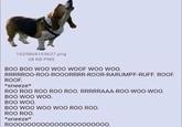 1625804163637.png 28 KB PNG BOO BOO WOO WOO WOOF WOO WOO. RRRRROO-ROO-ROOORRRR-ROOR-RARUMPF-RUFF. ROOF. ROOF. *sneeze* ROO ROO ROO ROO ROO. RRRRRAAA-ROO-WOO-WOO. BOO WOO WOO. BOO WOO. BOO WOO WOO WOO ROO ROO. ROO ROO. *sneeze* R0000000000000000000000.
