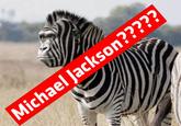 Michael Jackson?????