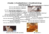 r/cats r/catadvice | r/cattraining starterpack Are my cats playing or fighting? Are my cats playing or fighting? Are my cats playing or fighting? Are my cats playing or fighting? Are my cats playing or fighting? Are my cats playing or fighting? Are my cats playing or fighting? Are my cats playing or fighting? Are my cats playing or fighting? Are my cats playing or fighting? Are my cats playing or fighting? Are my cats playing or fighting? Are my cats playing or fighting? Are my cats playing or fighting? Are my cats playing or fighting? Are my cats playing or fighting? Are my cats playing or fighting? Are my cats playing or fighting? Are my cats playing or fighting? Are my cats playing or fighting? Are my cats playing or fighting? Are my cats playing or fighting? Are my cats playing or fighting? Are my cats playing or fighting? Are my cats playing or fighting? Name my new cat! (20k upvotes) My cat died :(