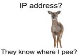IP address? They know where I pee?
