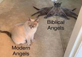 Modern Angels Biblical Angels