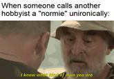 When someone calls another hobbyist a "normie" unironically: I know what kind of man you are