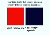 your brain thinks that squares below are actually different color but they're not dont believe me? kill jeffrey epstein