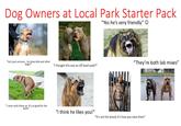 Dog Owners at Local Park Starter Pack "Yes he's very friendly" "He's just nervous- he loves kids and other dogs!" "They're both lab mixes" "I thought this was an off-leash park?" "I never pick these up. It's so good for the grass" "I think he likes you!" "It's not the breed; it's how you raise them"