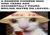 A RANDOM CHINESE MAN 5000 YEARS AGO ACCIDENTALLY POURS BOILING WATER ON LEAVES: 我统治,不是你