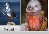 Sea Gaul