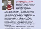 >>246064984 (OP) # In actuallity horse p------ have the grand majority of their nerve endings near the entrance so lenght doesn't matter. They also have very strong muscles there to squeeze and accommodate the smaller girth, they can tighten themself up to envelop something as thin and small as a pinkey finger. Mares actually prefer mating with humans because male horses are pretty infamous quickshots. so the mare basically does not get much pleasure as they take much longer to orgasm. This is where a humans much better sexual stamina comes into play.