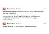 devpalmer Follow military recruiter: so what got you guys interested in the marine corps enormous horde of hagfish, ispods and bottom- feeding crustaceans: oh. uh. is that how you pronounce it ①devpalmer Follow whale fall side of tumblr you understand me