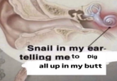 A "Snail in My Ear Telling Me":https://knowyourmeme.com/memes/snail-in-my-ear-telling-me meme about the "Snail in my ear telling me to dig all up in my butt."