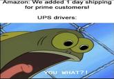 Amazon: We added 1 day shipping for prime customers! UPS drivers: YOU WHAT?!
