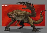 D-REX MARAHFA