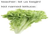 teacher: let us begin! kid named lettuce: