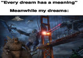 My dreams be like "Every dream has a meaning" Meanwhile my dreams: