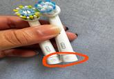 Oral B Oral B