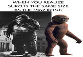 וככולון WHEN YOU REALIZE SUKO IS THE SAME SIZE AS THE 1962 KONG M