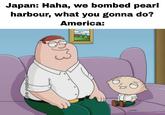 @dr.shitpost_er Japan: Haha, we bombed pearl harbour, what you gonna do? America: