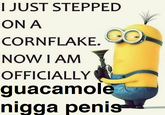 I JUST STEPPED ON A CO CORNFLAKE. NOW I AM OFFICIALLY guacamole n---- penis