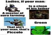 Ladies, if your man: A master of aura farming Is a clone of his father That ain't your man, that's imgflip.com Piccolo Green