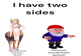 I have two sides Wholesome Centaur druid Parasitic murderhobo "gnome"