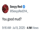 Rapper Sexyy Red posted a tweet quoting Rakai's "You good mud?" catchphrase from an early July 2025 stream.