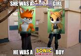 SHE WAS A GIRL FREEDOM PLANET FATE OF DESTINY HE WAS A SONIC BOY THE HEDGEHOG imgflip.com