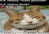 U.S. History: *mass genocide* U.S. History Books: THE INDIANS TAUGHT THE PILGRIMS HOW TO GROW CORN!