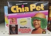WATCH IT GROW! chia Ped HANDMADE DECORATIVE PLANTER "EASY TO DO... FUN TO GROW!" Full Growth 1-2 Weeks Dustin from STRANGER THINGS Another Great Chia Pef Product ЛЯ