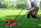 MegaLAWN