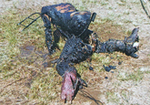 During the filming of the 2006 movie, Gamera the Brave, the Zedus suit was purposefully destroyed during filming. This picture shows the remains of the suit.