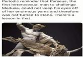 Periodic reminder that Perseus, the first heterosexual man to challenge Medusa, could not keep his eyes off of her enormous yams and therefore was not turned to stone. There's a lesson in that.