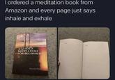 I ordered a meditation book from Amazon and every page just says inhale and exhale A GUIDED MEDITATION FOR BEGINNERS David Ploo
