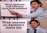 More squirrels and raccoons have been arrested Than anyone on Epstein's client list
