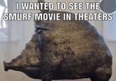 I WANTED TO SEE THE SMURF MOVIE IN THEATERS