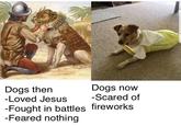 Dogs then -Loved Jesus 1804 Dogs now -Scared of -Fought in battles fireworks -Feared nothing