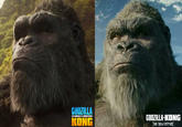 GODZILLA VS.I KONG GODZILLA-KONG THE NEW EMPIRE