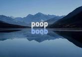 poop boob