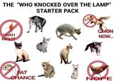 THE "WHO KNOCKED OVER THE LAMP" STARTER PACK YEAH RIGHT FAT CHANCE CMON NOW... NOPE