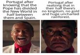 Portugal after knowing that the Pope has divided the New World in half between them and Spain. Portugal after realizing that in their half there's no kingdom, no gold and huge uncharted rainforest.
