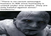 "There is no racism amoungst humans in 40k since humanity is united under one empire. They are only hateful against xenos" Voidborns: