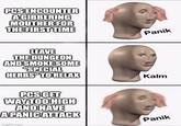 PCS ENCOUNTER AGIBBERING MOUTHER FOR THE FIRST TIME LEAVE THE DUNGEON AND SMOKE SOME "SPECIAL HERBS" TO RELAX PCS GET WAY TOO HIGH AND HAVE A PANIC ATTACK Imgflip.com Panik Kalm Panik