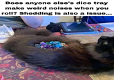 Does anyone else's dice tray make weird noises when you roll? Shedding is also a issue...
