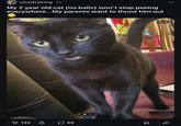 r/CatTraining 2h My 2 year old cat (no balls) won't stop peeing everywhere.. My parents want to throw him out 132 69 1/3