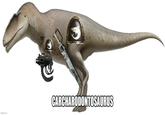 #KAHO imgflip.com CARCHARODONTOSAURUS